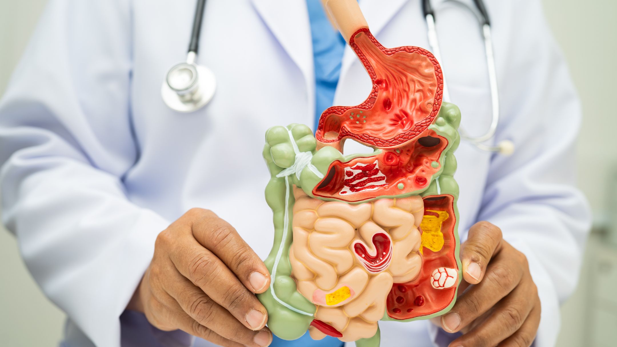 Gut Health and Vitamin Absorption