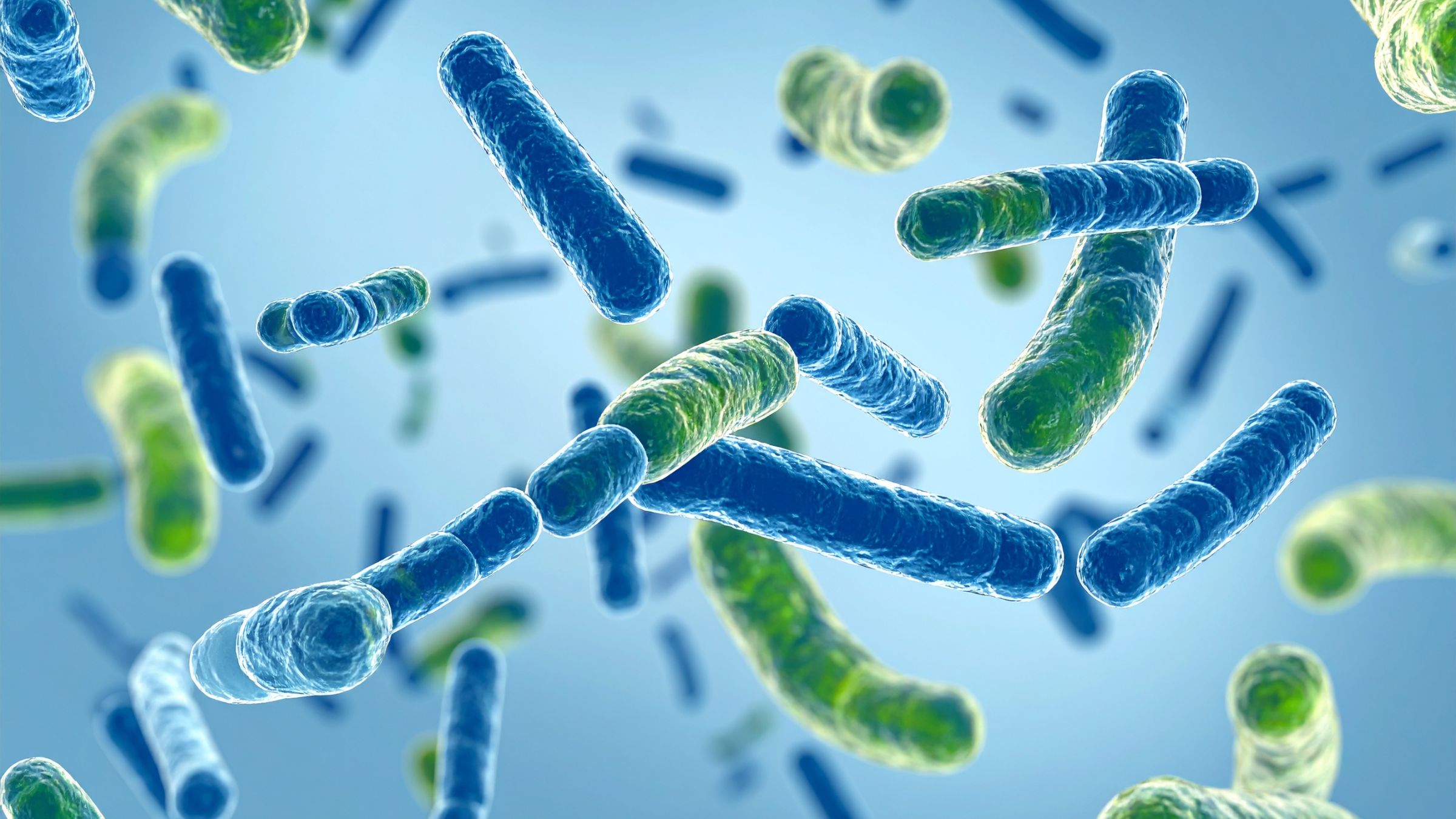 Probiotics Explained: Do You Need Them