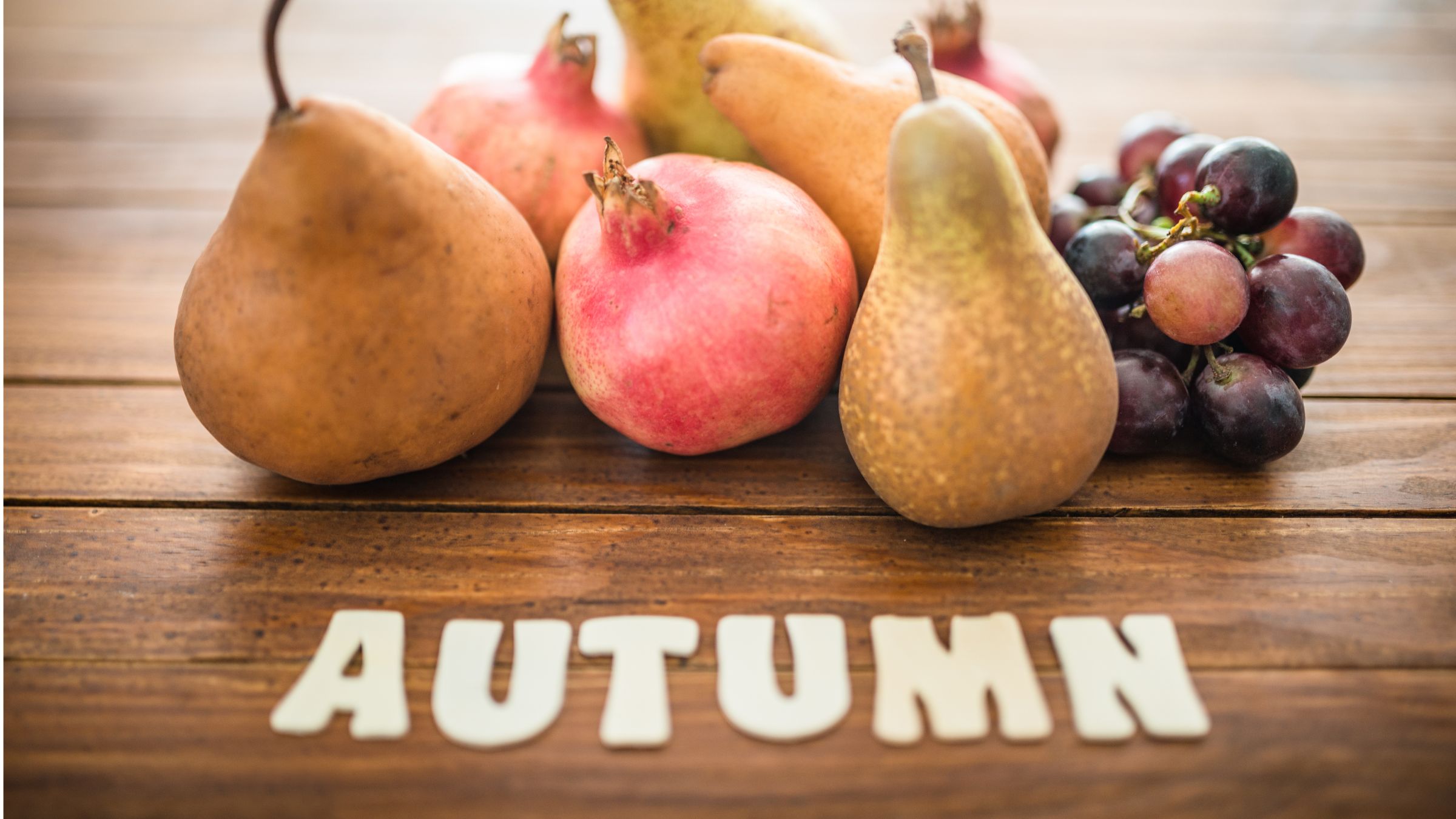 shorter days indoor routines autumn nutrition